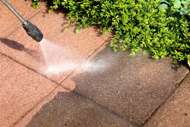 Best Sidewalk Pressure Washing  in Sewalls Point, FL